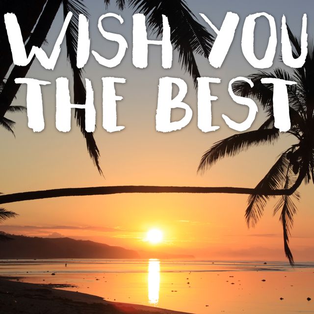 Tropical Jawns - 'Wish You The Best (Marimba)' [Ringtone]