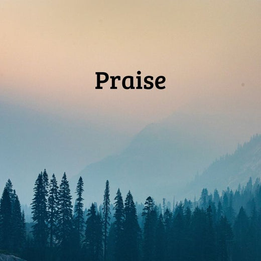 Praise - 'Praise (feat. Worship Orchestra)' [Ringtone]