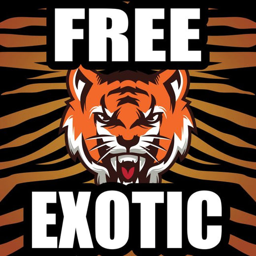 Joseph Mane - 'Free Exotic (Joe Savage Exotic vs Carole Baskin Parody from "Tiger King")' [Ringtone]