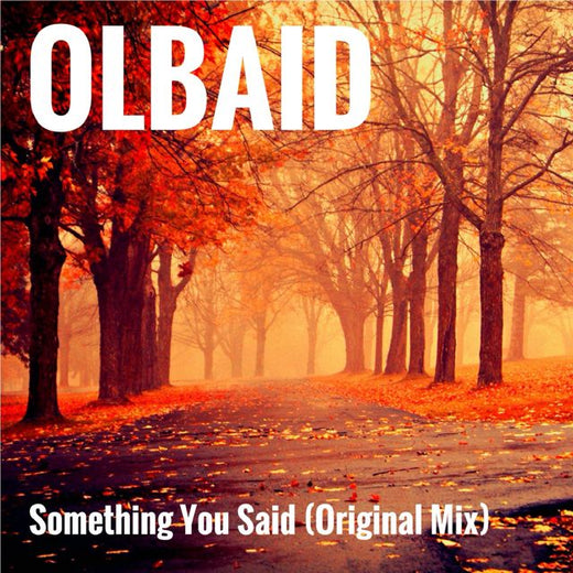 Olbaid - 'Something You Said' [Ringtone]