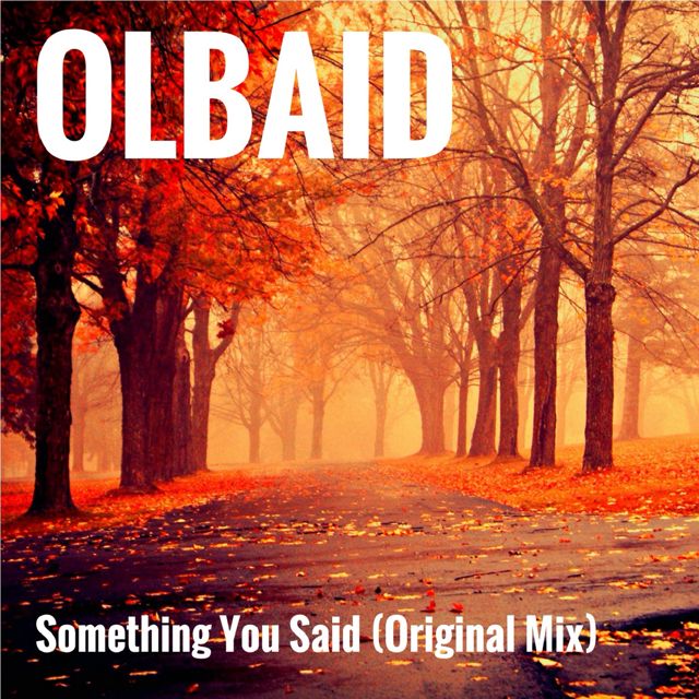 Olbaid - 'Something You Said' [Ringtone]