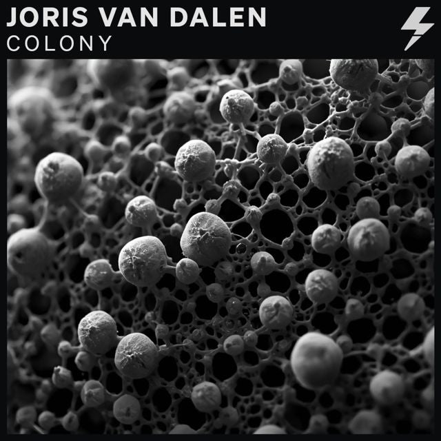 Joris Van Dalen - 'Micro State' [Ringtone]