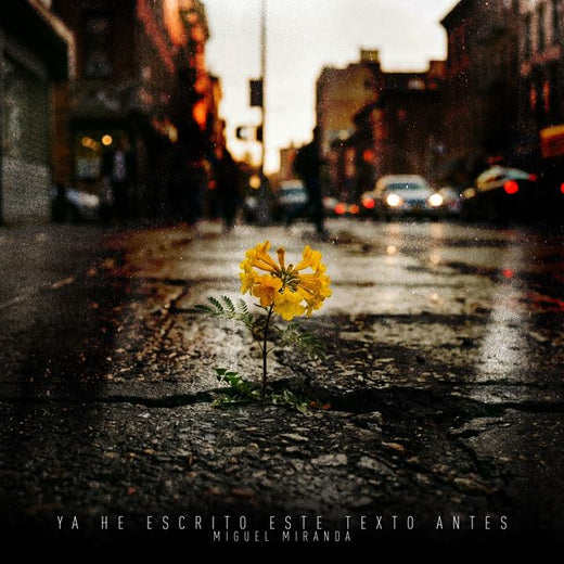 Miguel Miranda - 'Ya He Escrito Este Texto Antes' [Ringtone]