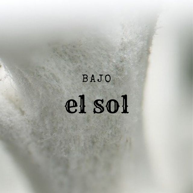 CHARPI MC - 'BAJO EL SOL' [Ringtone]