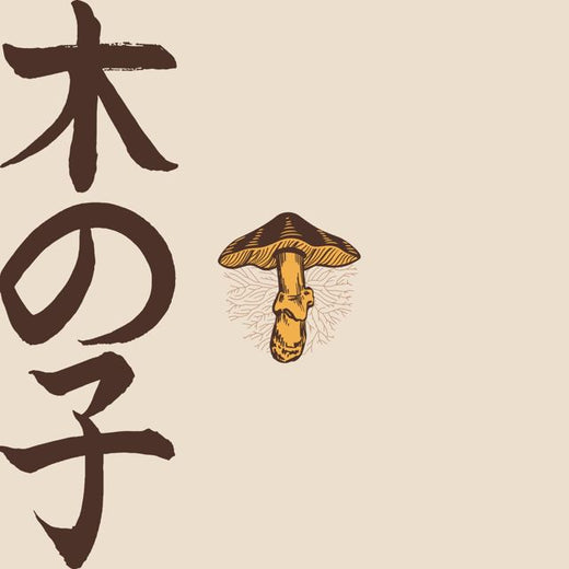 Frank Takuma - 'Glock' [Ringtone]