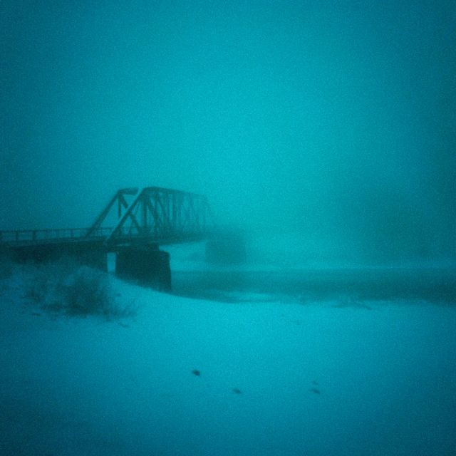 Saraphina Echoes - 'water bug' [Ringtone]