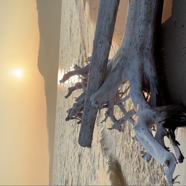 Circul - 'Neys Beach, Smokey Sunset (July 25, 2025) (feat. Eas)' [Ringtone]