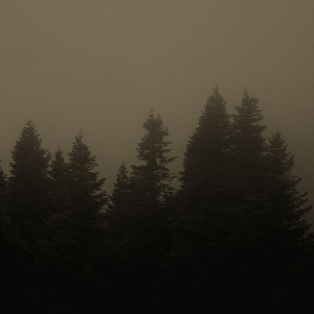 venxmsace - 'lost' [Ringtone]