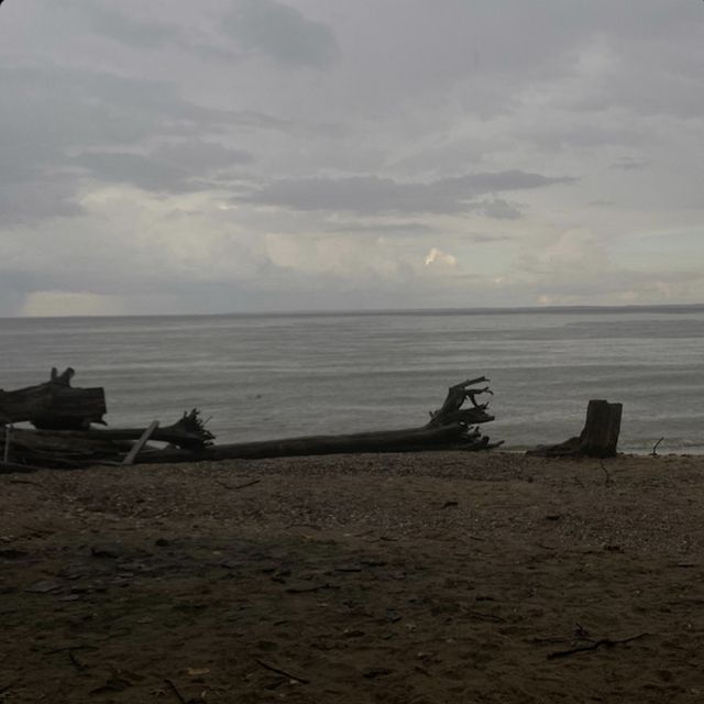 Txkumoon - 'heard you bad' [Ringtone]