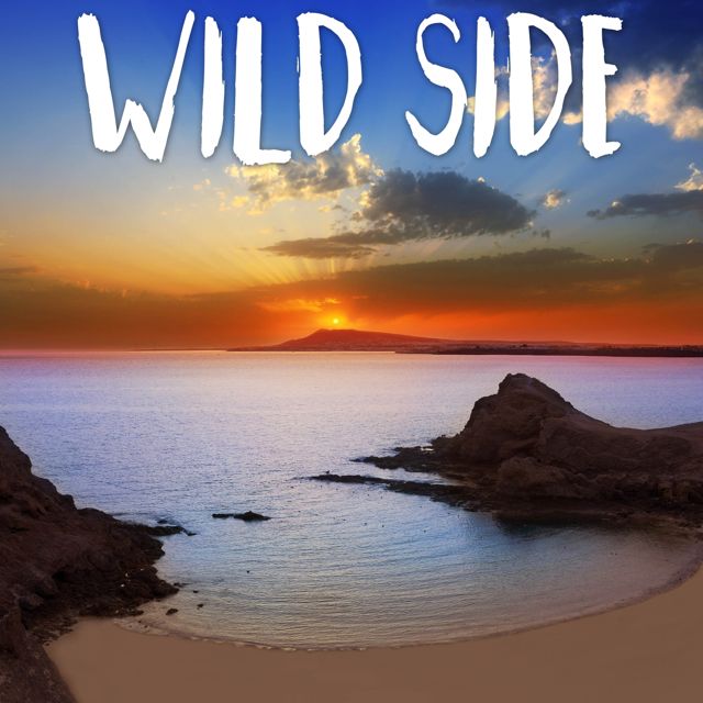 Tropical Jawns - 'Wild Side (Marimba Version)' [Ringtone]