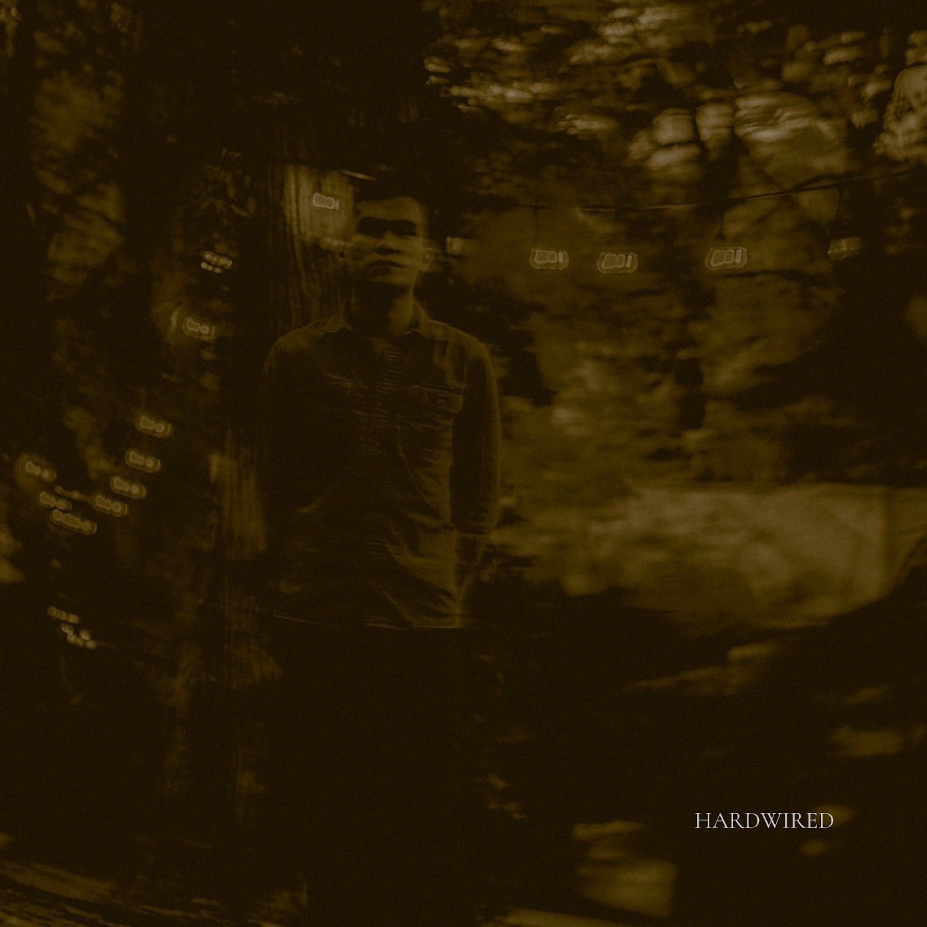 Fabrizio – 'Hardwired (acoustic version)' [Ringtone]