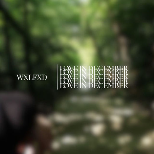 WXLFXD - 'love in december' [Ringtone]
