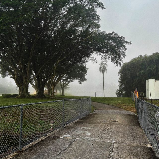 Whitepaddedwalls - 'conversation starters' [Ringtone]