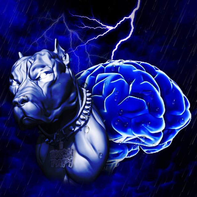 Rx Papi - 'My Word Is Law' [Ringtone]