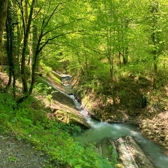 Mossveil - 'A River Held by Trees (Ambient Version)' [Ringtone]