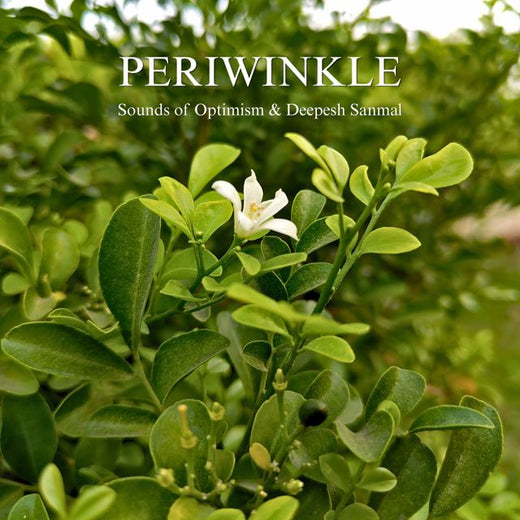 Sounds of Optimism - 'Periwinkle (feat. Deepesh Sanmal)' [Ringtone]