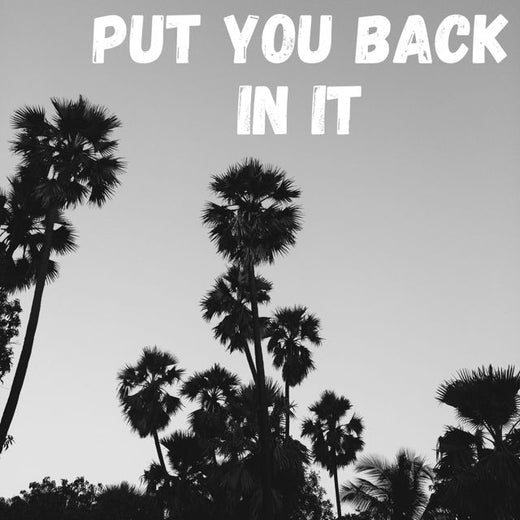 Regis Pace - 'Put Your Back In It (Marimba Remix Cover)' [Ringtone]