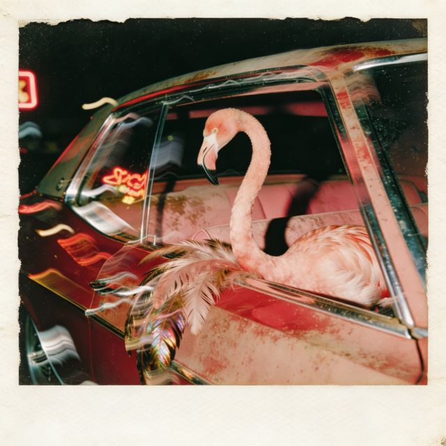 Maison Satin - 'Never Enough' [Ringtone]
