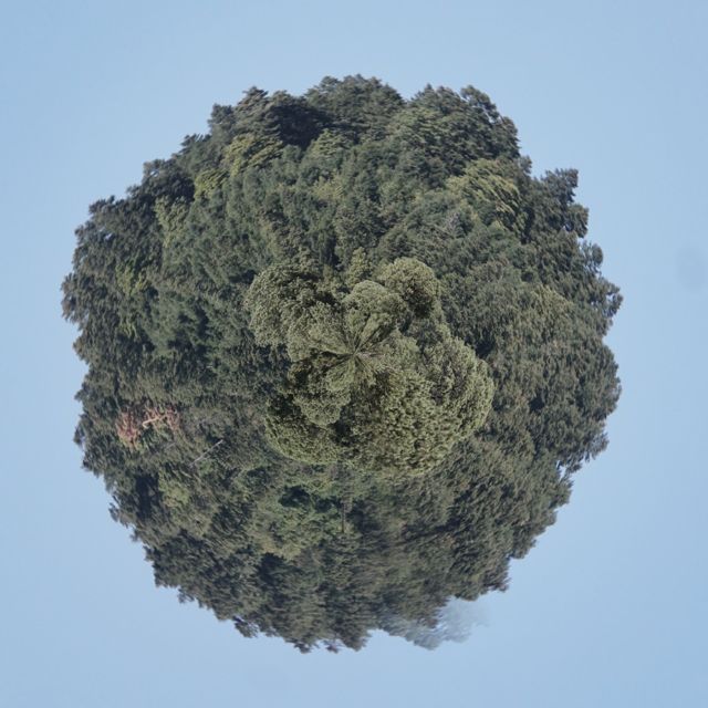 Gabriel Salant - 'Nada es real.' [Ringtone]