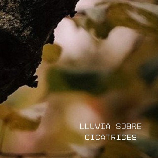CHARPI MC - 'Lluvia sobre cicatrices' [Ringtone]