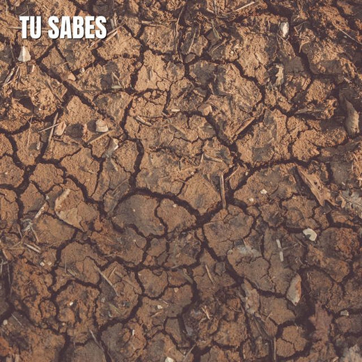 Arena Salina - 'Tu Sabes' [Ringtone]
