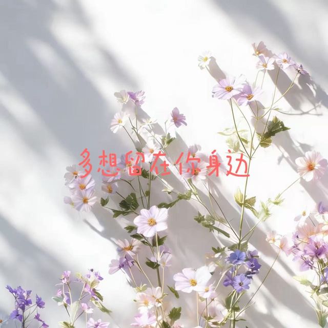 落日微笑 - '多想留在你身边' [Ringtone]