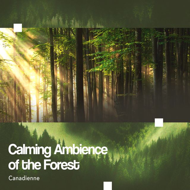 Canadienne - 'Rain on a Small River' [Ringtone]