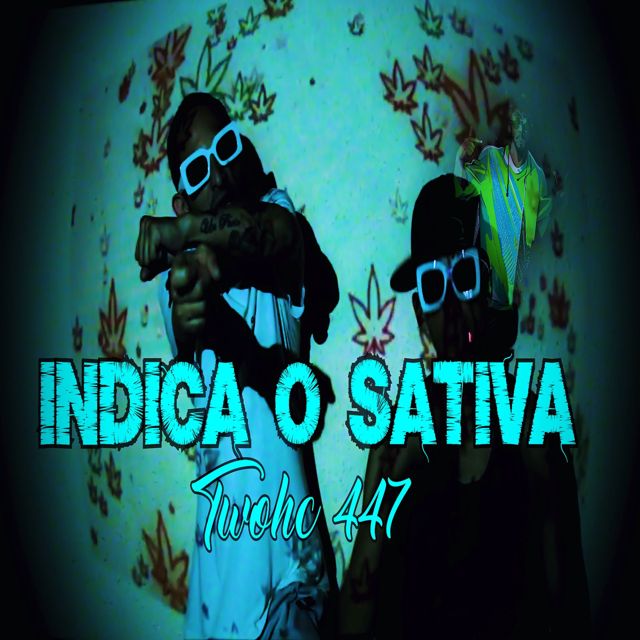 twohc 447 - 'Indica o Sativa' [Ringtone]