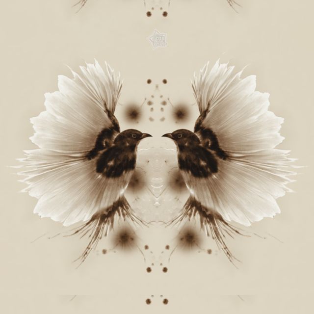 Animal Feelings - 'Papa Sung (feat. Oliver Claridge)' [Ringtone]