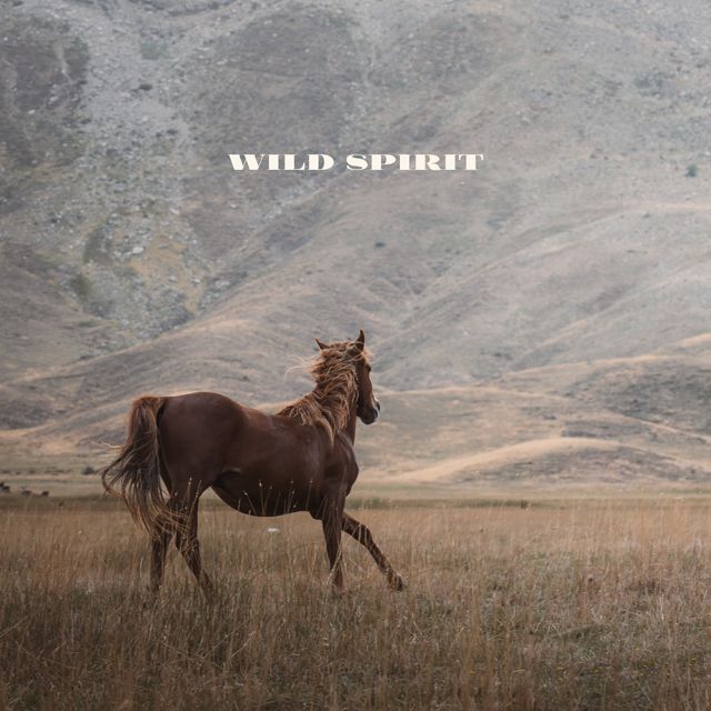 Lowtone Music - 'Wild Spirit' [Ringtone]