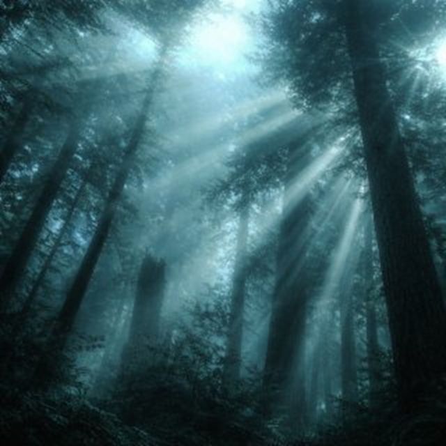 Unknown Melodiez - 'twilight (feat. skimmed_milk)' [Ringtone]