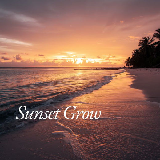 Ray Jackson - 'Sunset Grow' [Ringtone]