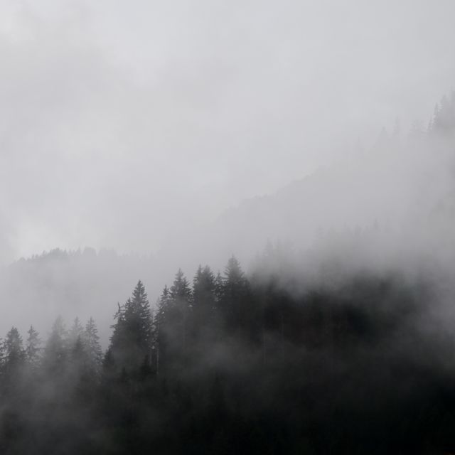 Morning Haze - 'Sinking Too Deep' [Ringtone]