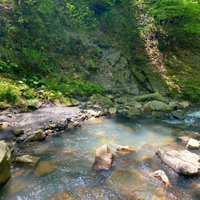 Tish' - 'Flowing Through the Woods' [Ringtone]
