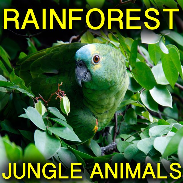 Nature Sound - 'Monkeys, Birds And Jungle Rain (feat. The Nature Society)' [Ringtone]