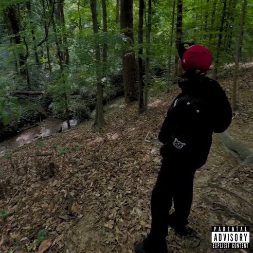 VLTHEVULTURE - 'BRICK BY BRICK' [Ringtone]