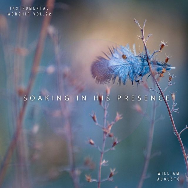 Soaking in His Presence - 'Nourishing the Spirit (feat. William Augusto)' [Ringtone]