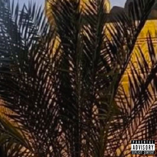 VLTHEVULTURE - 'GET MONEY' [Ringtone]