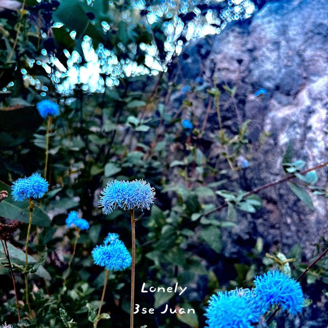 3se Juan - 'Lonely' [Ringtone]