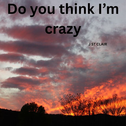 J ST CLAIR - 'Do you think I'm crazy' [Ringtone]