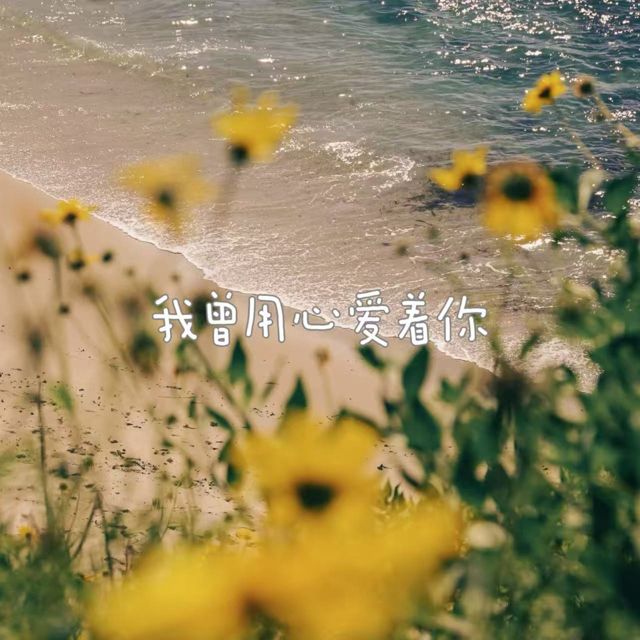 落日微笑 - '我曾用心爱着你' [Ringtone]