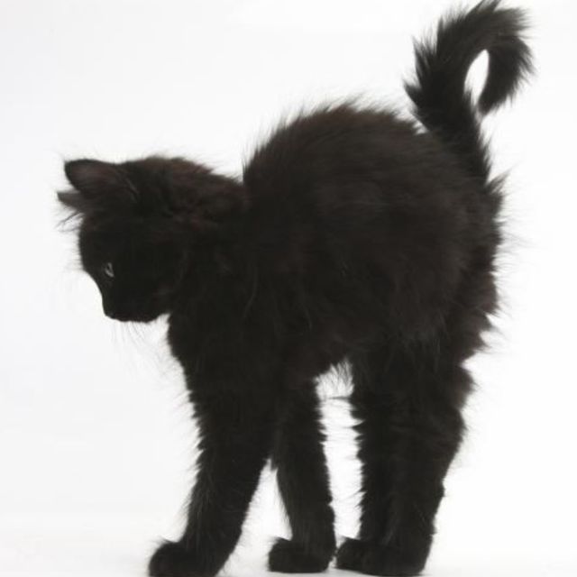 Icemop - 'One Time' [Ringtone]