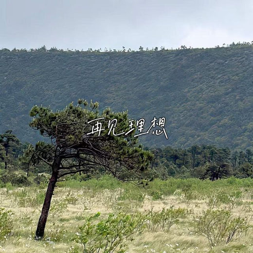落日微笑 - '再见理想' [Ringtone]