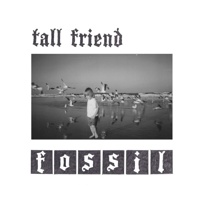 Tall Friend - 'sheep' [Ringtone]