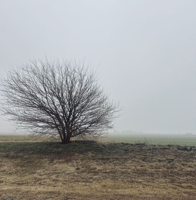 Nolan Kitchel - 'falling' [Ringtone]