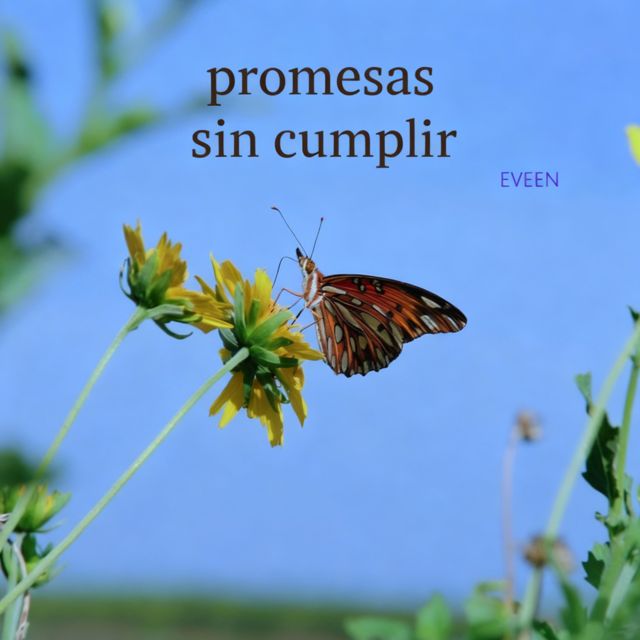 EveeN - 'Promesas sin cumplir' [Ringtone]