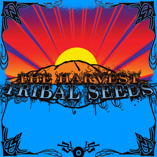 Tribal Seeds - 'Vampire' [Ringtone]