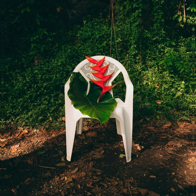 BLEND - 'Jungle Corner' [Ringtone]