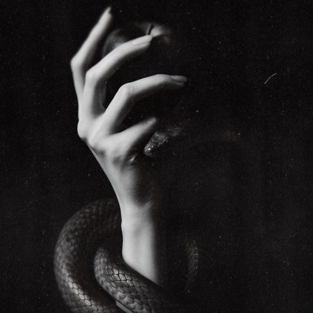 Max Wavee - 'SNAKES' [Ringtone]