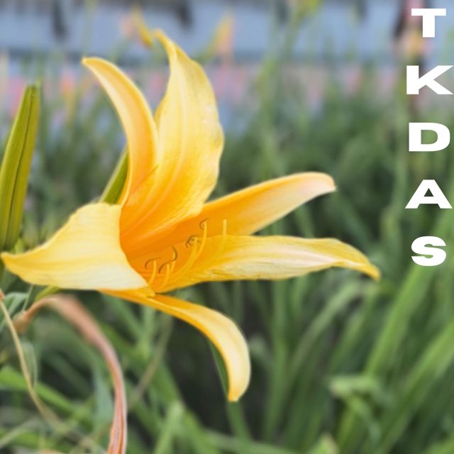 Og Speedy - 'Tkdas (feat. rlabstracto)' [Ringtone]
